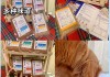 刚开一秒sf宠物品质提升