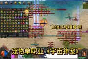 最新单职业传奇新手进阶之宠物进化