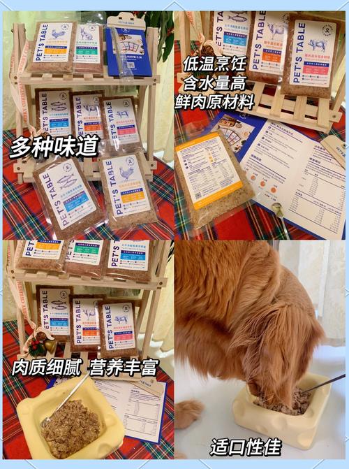 刚开一秒sf宠物品质提升